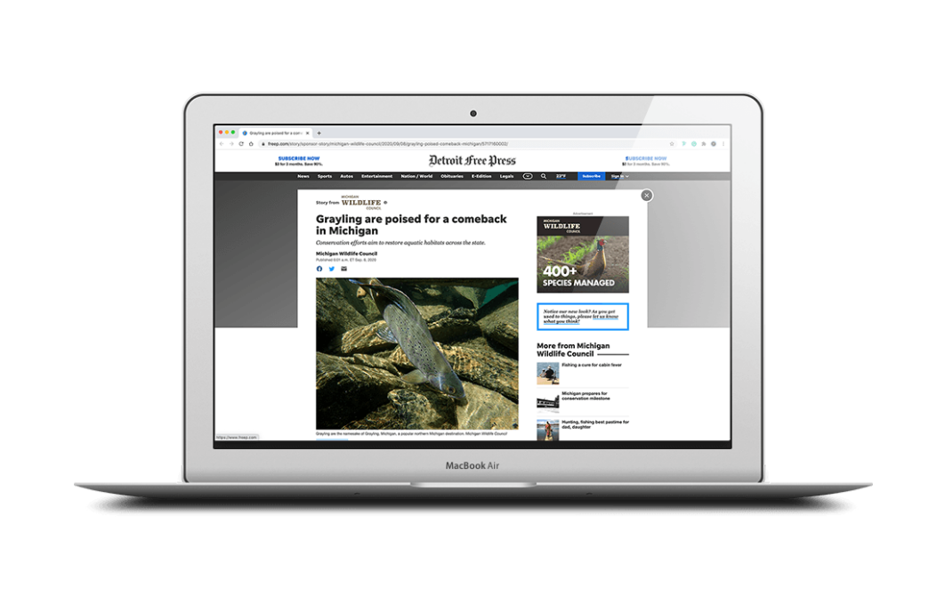 Laptop showing a browser with "Grayling are poised for a comeback in Michigan" story on the Detroit Free Press website.